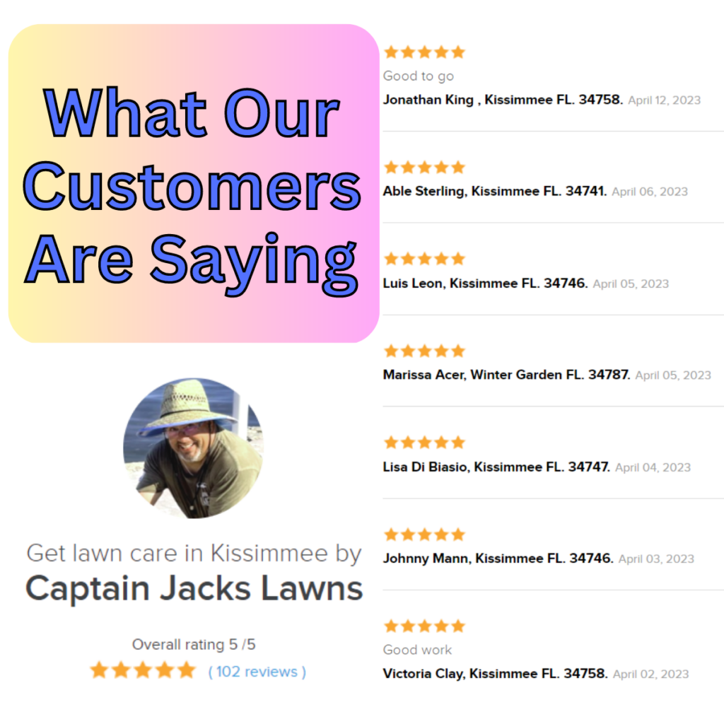 Bush Hogging | Florida | Captain Jack's Landscaping