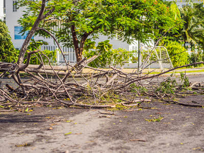 Kissimmee Florida Area Storm, Hurricane, Tropical Storm Debris Cleanup Service