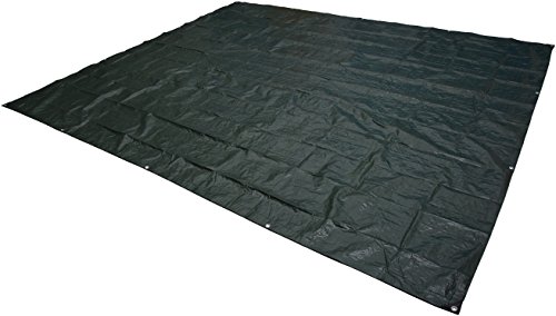 Amazon Basics Waterproof Camping Tarp, 8 Ft x 10 Ft, Dark Green