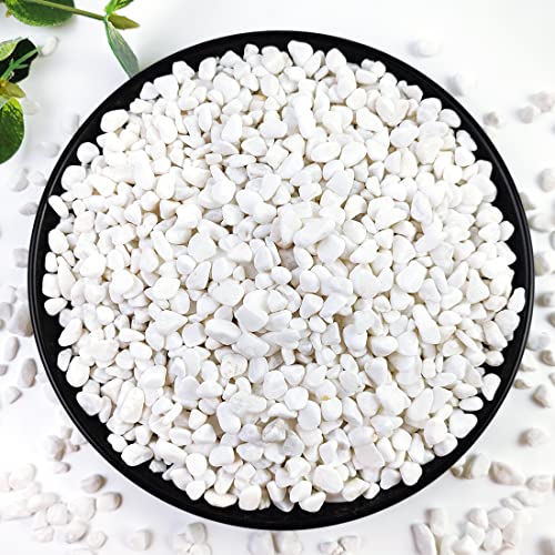 YISZM 2LB Succulent and Cactus Gravel Pebbles, 1/5 Inch White Natural Decorative Polished Stones, River Rocks for Plants, Vases, Aquariums, Terrarium and Outdoor Gardening,White