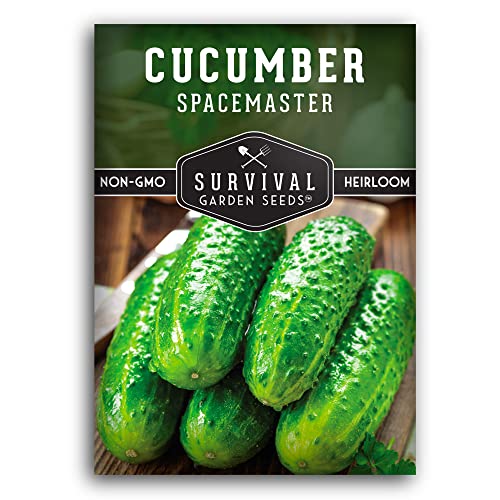 1 Pack Spacemaster Cucumber Seed for Planting - Packet with Instructions to Grow Container Friendly Cucumbers in Your Home Vegetable Garden - Non-GMO Heirloom Variety - Survival Garden Seeds