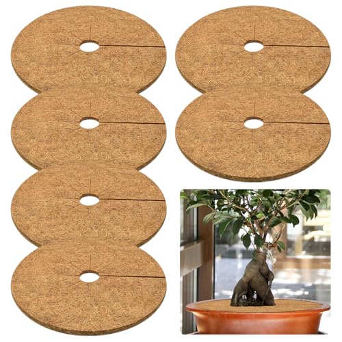 ZeeDix 6 Pcs Coconut Fiber Mulch Ring, 24 Inch Coco Coir Tree Ring Mulch Mat, 100% Natural Tree Protector Mat Plant Cover Ring Coconut Coir Discs Tree Mats Mulch Rings for Indoor Outdoor Trees Plants