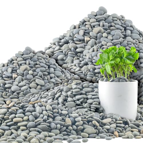 Quibbay 45 LB Mexican Beach Pebbles, 0.4-1 Inch Natural Unpolished Bulk Rocks, Decorative River Rocks for Landscaping Garden Paving Plant, Rocks for Walkways and Outdoor Decorative Stone, Grey